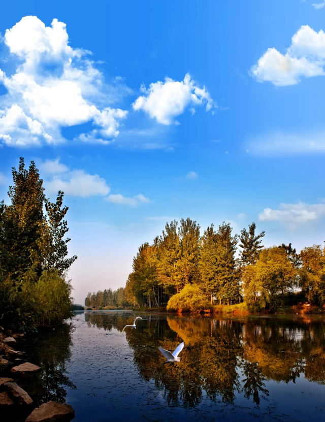 邂逅山亭的冬季美学