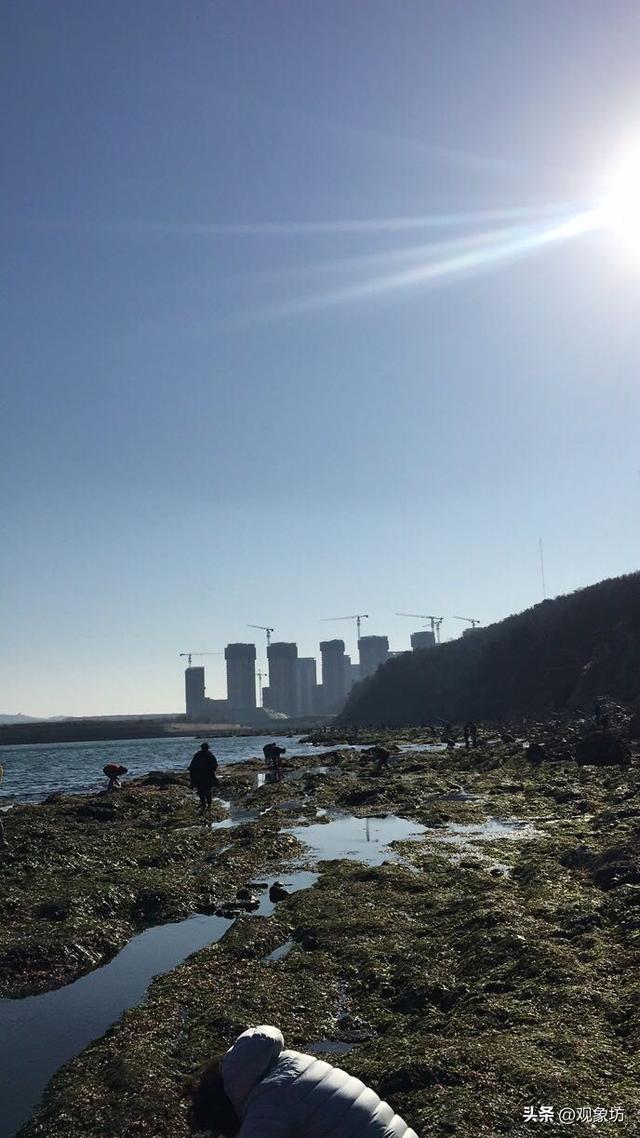 大连：全国最傻的城市！那么多好看的景点居然都免费！