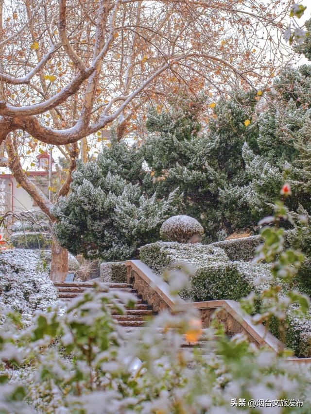 【乐游烟台】公交直达！烟台市中心神仙秘境，限时绝美