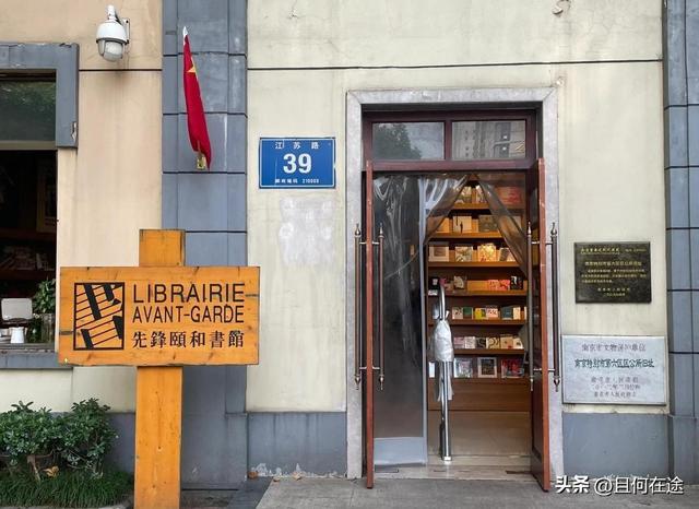 南京“丑萌”梧桐C位出道！颐和路半天游，把民国浪漫拍成表情包