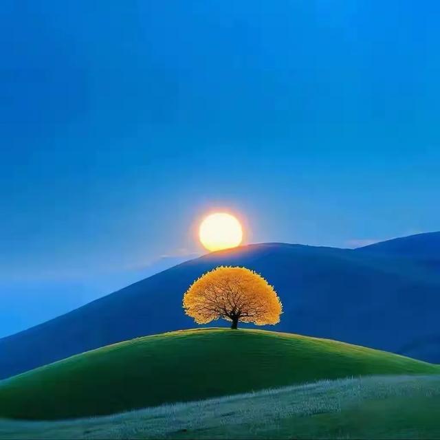老人言：农历五月小孩掉床，要凑七姓水给孩子洗洗澡。不是迷信！