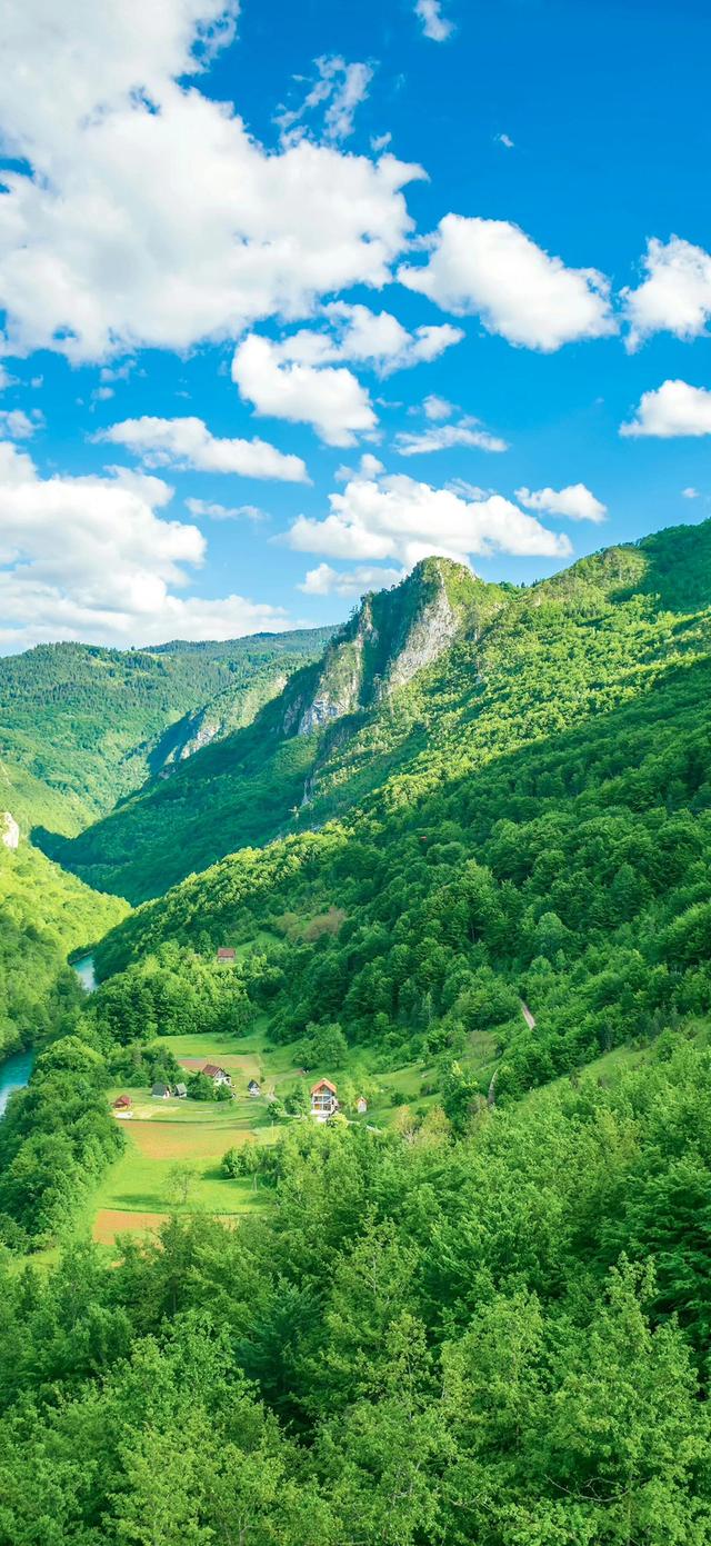 手机壁纸|清新自然，绿色风光美景