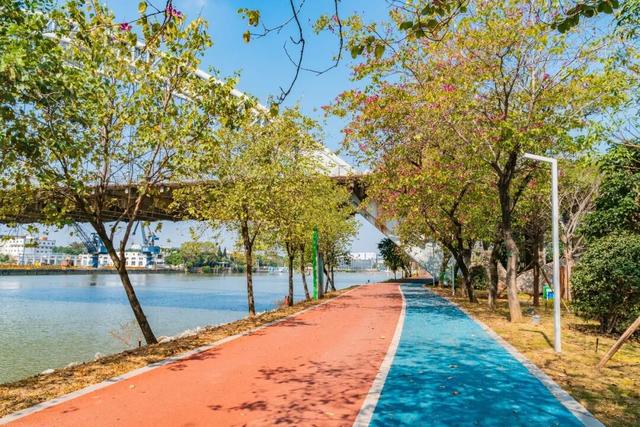 逛完你的逛你的，桂城公园真的逛不完！免费畅玩→