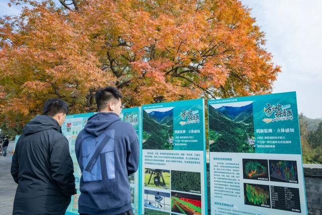 古树年轮里的故事，石景山等您来赴约