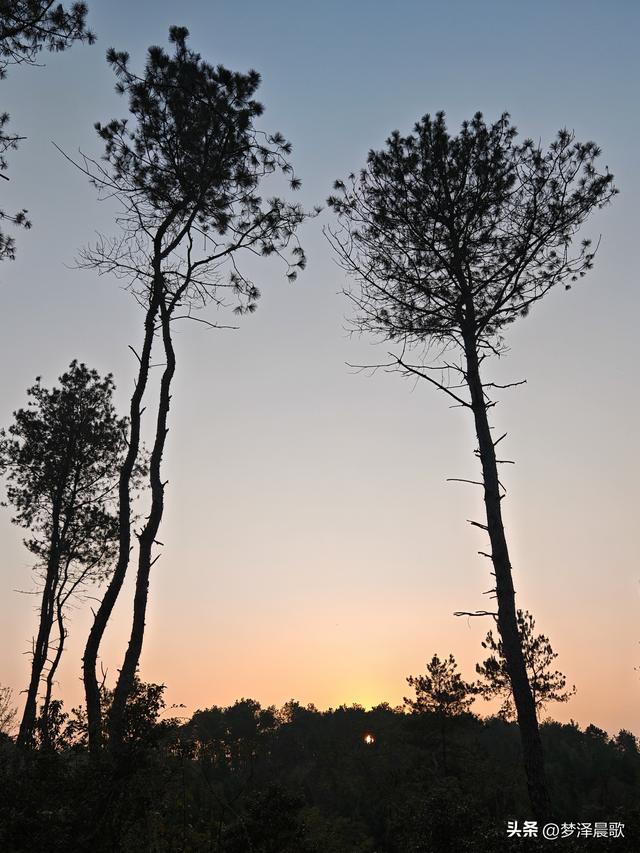 应城：有名店林场林荫步道 让你邂逅四季生态画卷