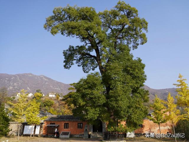 北京千年灵岳寺国庆首开，庑殿顶藏元代密码，先有古刹后有斋堂城
