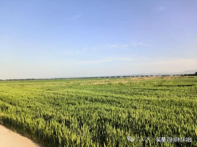 打卡临潼畅心湾，车开到堤坝上露营烧烤，比黄河的乾坤湾还舒畅！