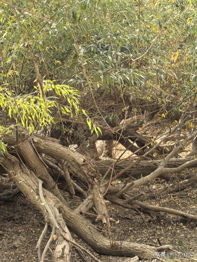 2025环南疆沙漠铁路背包自由行日记(3)---新藏公路零起点叶城打卡