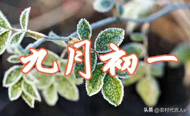 今日九月初一，“冷不冷，就看九月初一”，今年冬天真要冻哭？