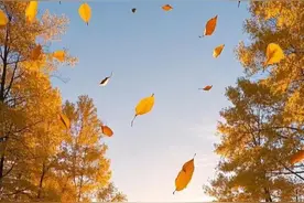 谈谈我独自伺候80岁父母的感受，如再有一次，我坚决不大包大揽！图片