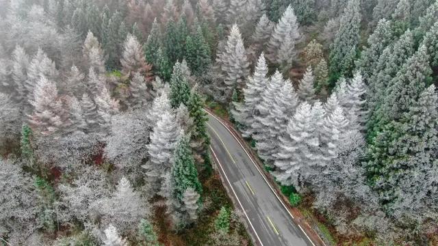 热“雪”以待！坪坝营嬉雪乐园抢先剧透​