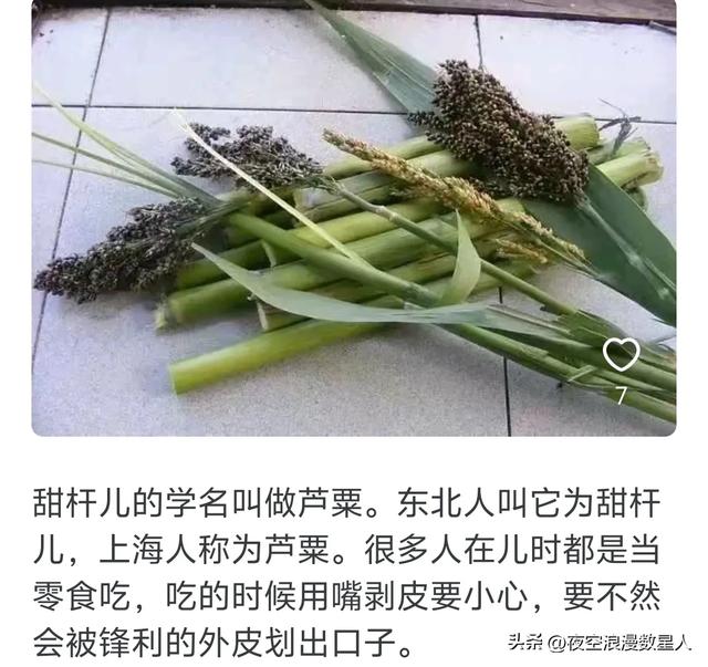 原来水果也会被时代淘汰，网友:真是活久见，有些还是防晕车神器