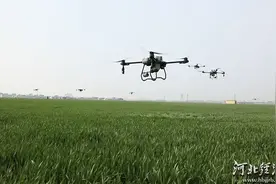 人勤春来早 | 从“靠天吃饭”到“数据种地”，河北智慧农场真“聪明”图片