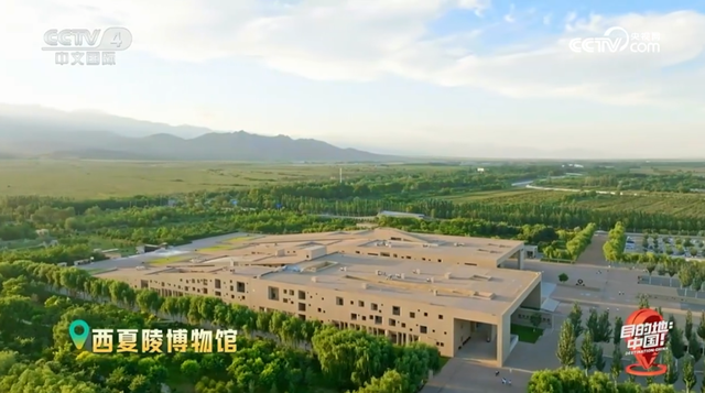 CCTV-4新片！目的地→银川🧳