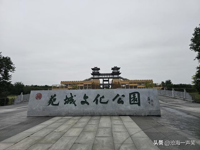 周末神仙去处，苑城公园，既可以赏金黄的银杏叶，还可以赏水景