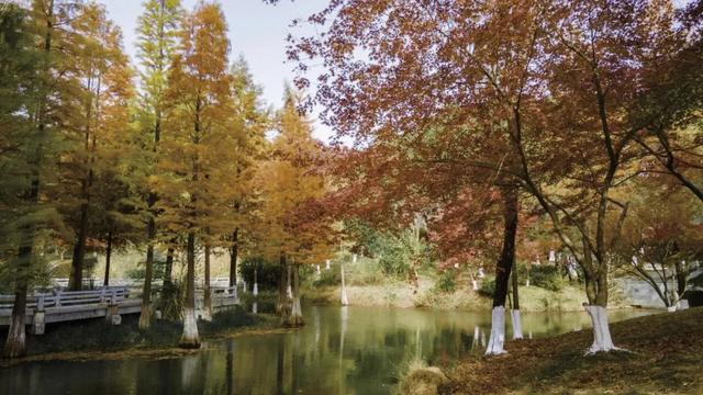 这样的张家港，我“All in”了！