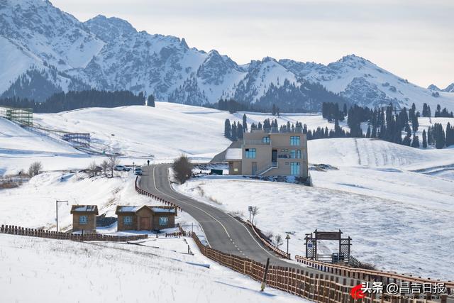 视觉·昌吉 | 银装素裹江布拉克 雪映松林绘冬图