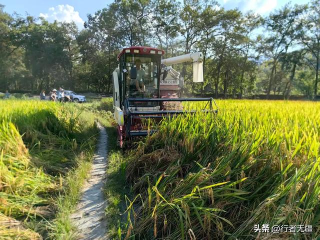 梵净山下寨沙行：八月午后的吊桥与侗家烟火
