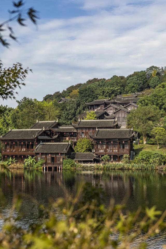 彩叶斑斓 层林尽染 重庆这个冬日童话小镇太美啦！