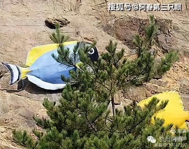 大连海之韵山体壁雕