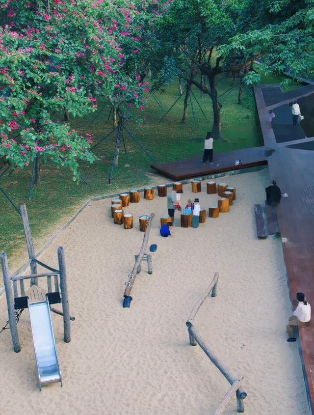 深圳又一生态长廊爆红，被称为现实版“魔法森林”，适合徒步遛娃