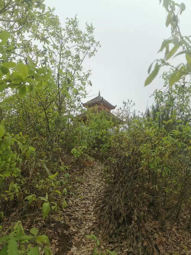 遵义新蒲：新城边上“点灯山”