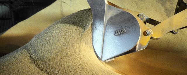 不是妥协是布局! 中国恢复美大豆原木进口, 揭开十五五首张战略底牌