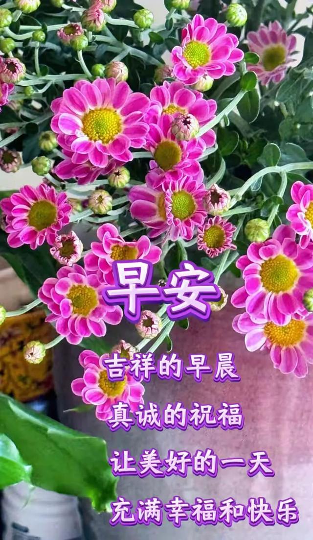 2025年9月22日早上好，最新祝福语祝大家周一工作愉快！笑口常开