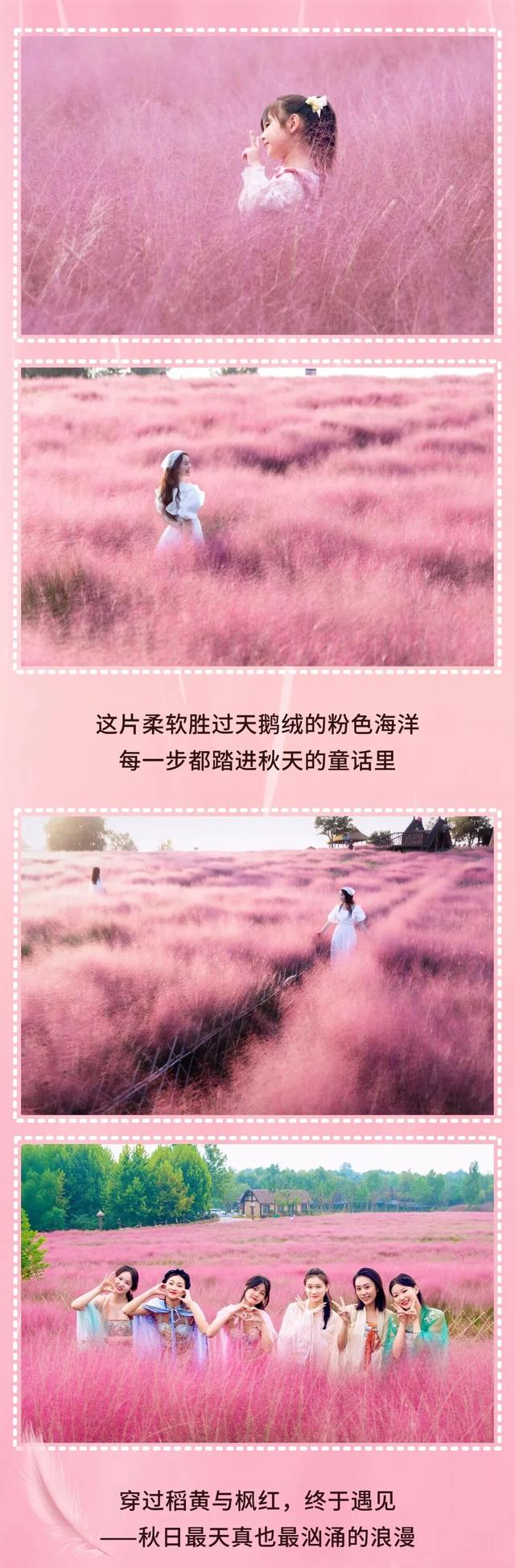 朋友圈顶流预告！花厅部落粉黛即将刷屏！