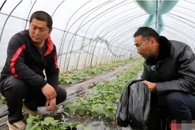 宿迁：全生物降解地膜 让农田穿上“环保新衣”图片