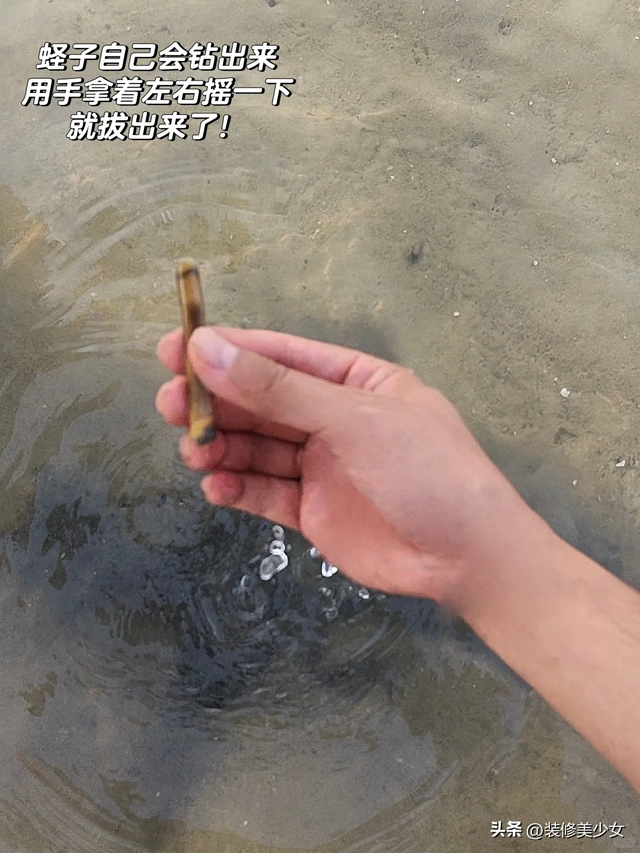 “尖叫”都没想到，靠瓶子爆火了！这哪是包装，明明是生活神器