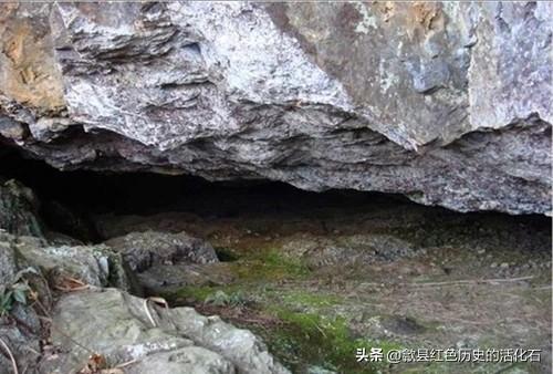 徒步牛栏坪赏高山草甸