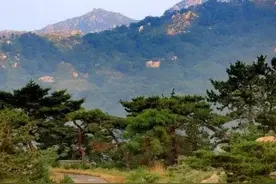 山东泗水有一块风水宝地，背倚凤仙山，南望泗河水，名字寓意深长图片