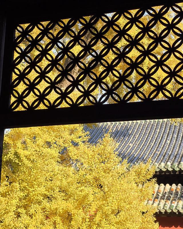 博物FUN | 大觉寺：千年古刹的禅意与新生