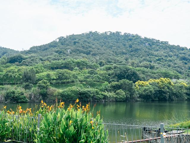 厦门上李水库公园游玩攻略，带你邂逅城市中的绿野仙踪