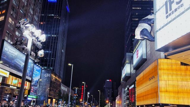 畅游天府之国--成都