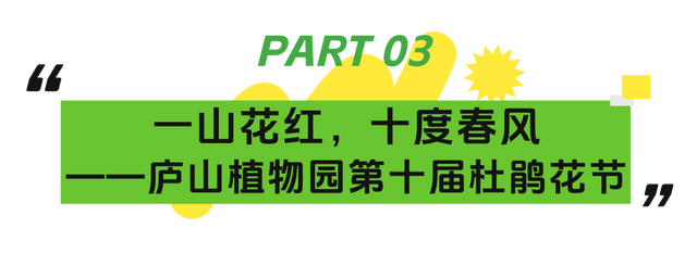 来庐山，逛春山 | 五月精彩不停歇！这份庐山超全文旅活动攻略请收好~