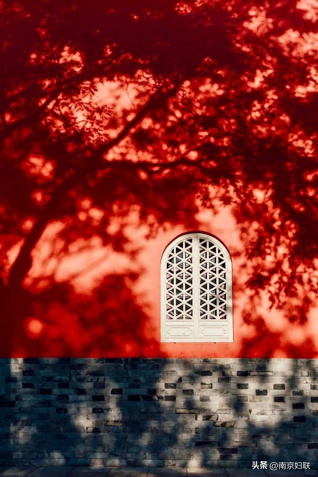 南京这些“魔法之窗”，怎么拍都出片！