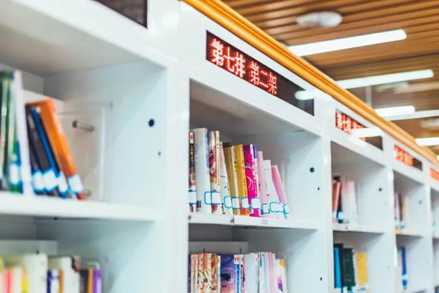 本周末闽南童趣游戏免费玩！还有游园会、图书漂流……