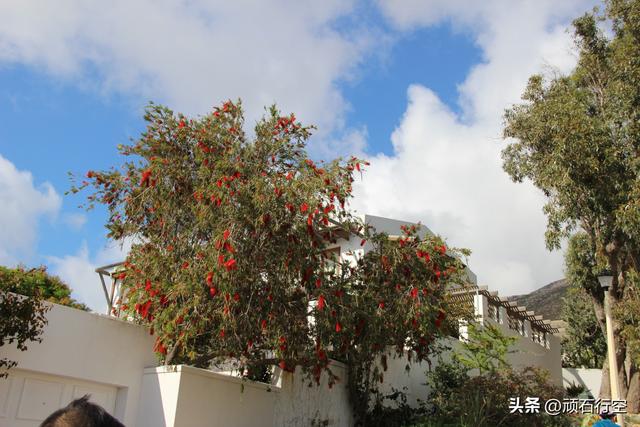 南部非洲：南非好旺角