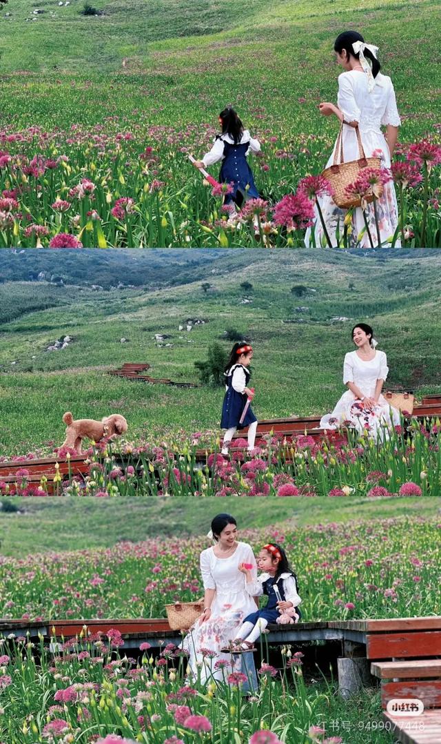 避开人潮！高铁直达20℃冷门小城，花海美过川西、地质景观顶级！16元炫资格美食！
