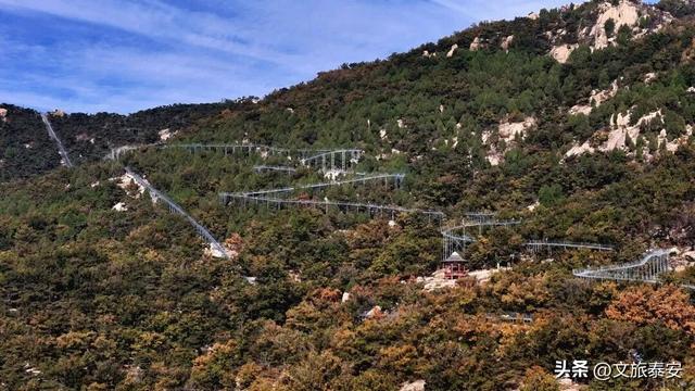 从栾树到彩林，每一步都是心动！新甫山向你发出赏秋邀请函~