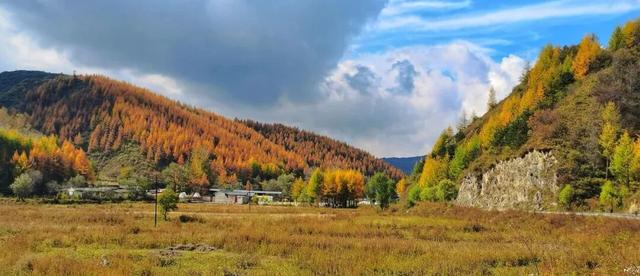 兰仓秋，染山河。