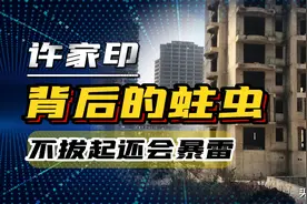 抓许家印不是目的，背后的蛀虫不连根拔起，还会爆更大的雷！图片