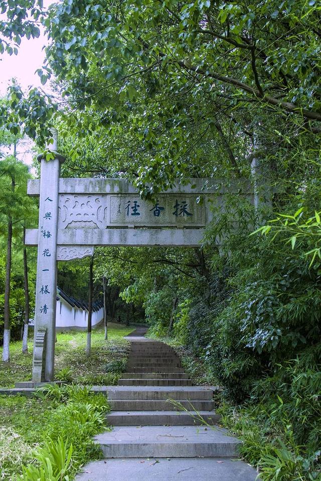 张家港很火的「线路」，后悔没早点去打卡