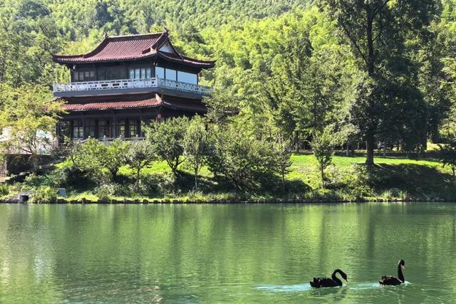 江苏宜兴竹海：周末度假的宝藏之地，开启一场竹林仙境之旅！