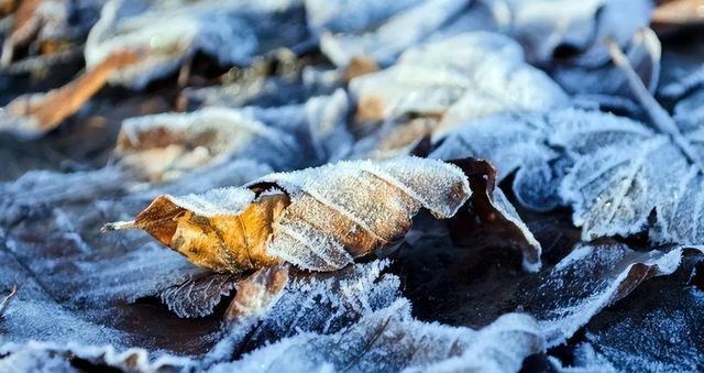 这不是迷信！“最怕立冬是雨天”，今日立冬，下雨啥预兆？