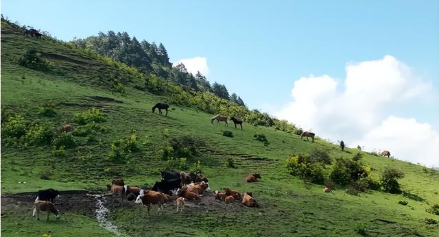 四川省泸定县历史沿革及行政区划