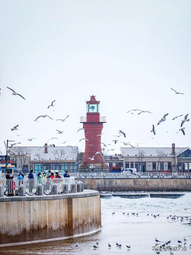 文旅局长亮相央视，邀你开启冬日浪漫之约！