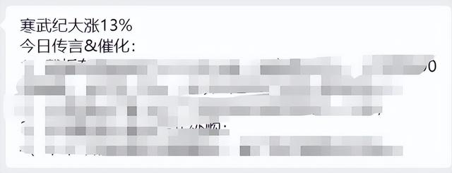突发大利好！直线飙涨！